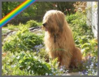 Ronja im Frühjahr 2009