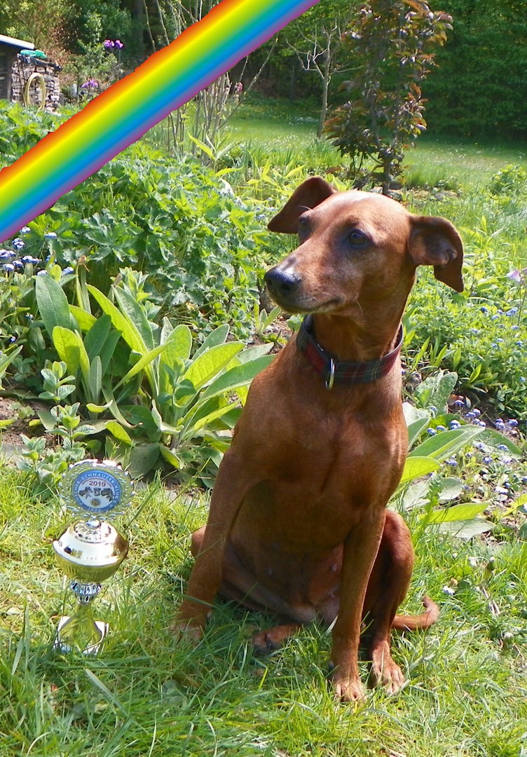 Chili vom Sünderbek